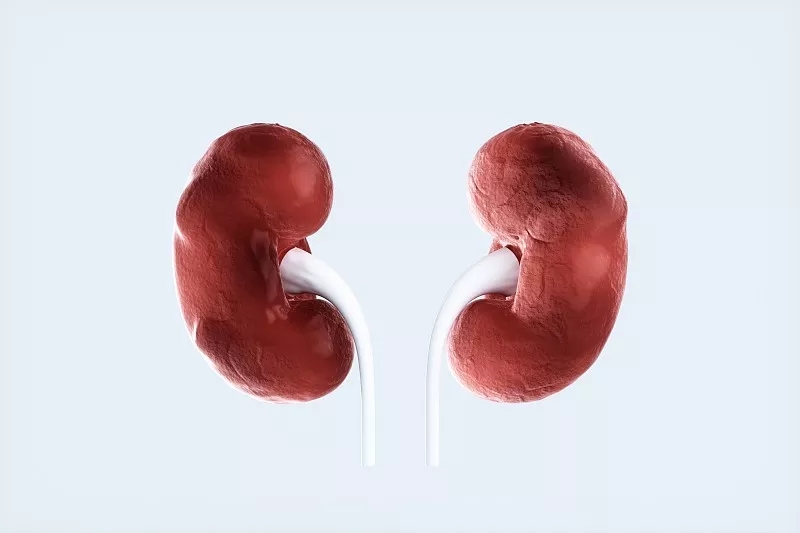 難治性狼瘡性腎炎的治療新選擇——自體造血干細(xì)胞移植 難治性狼瘡性腎炎的治療新選擇——自體造血干細(xì)胞移植