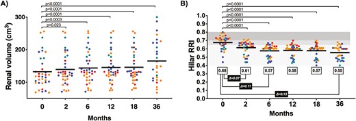 隨時(shí)間測(cè)量的腎體積和腎動(dòng)脈阻力指數(shù)。
