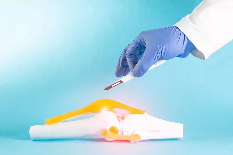 間充質(zhì)干細胞在人類半月板修復中的潛在用途：當前見解