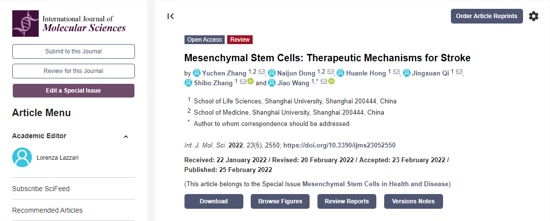 間充質(zhì)干細胞治療中風機制