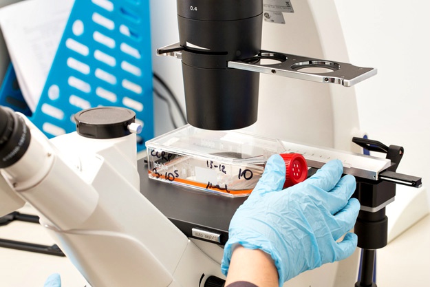 什么是干細(xì)胞？關(guān)于一系列干細(xì)胞的簡(jiǎn)短知識(shí)