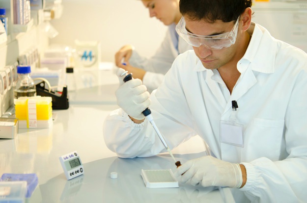 什么是干細(xì)胞？關(guān)于一系列干細(xì)胞的簡(jiǎn)短知識(shí)