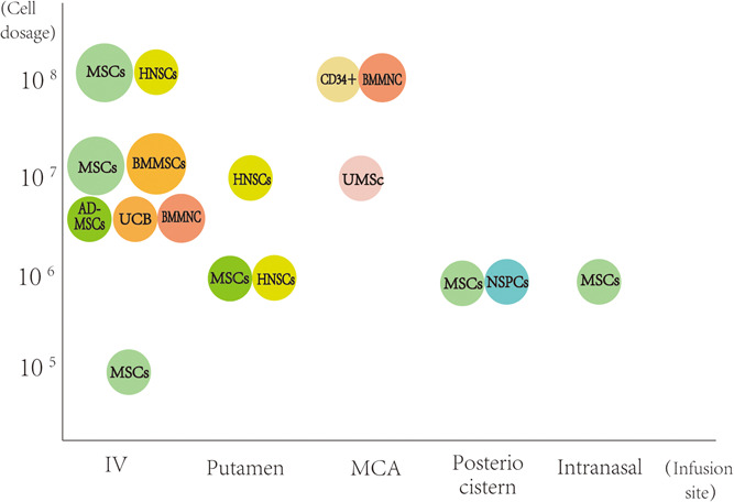 圖1：臨床試驗中細胞類型、劑量和輸注部位之間關(guān)系的可視化