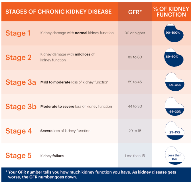 慢性腎病的階段、腎臟慢性腎病治療、腎衰竭治療費用