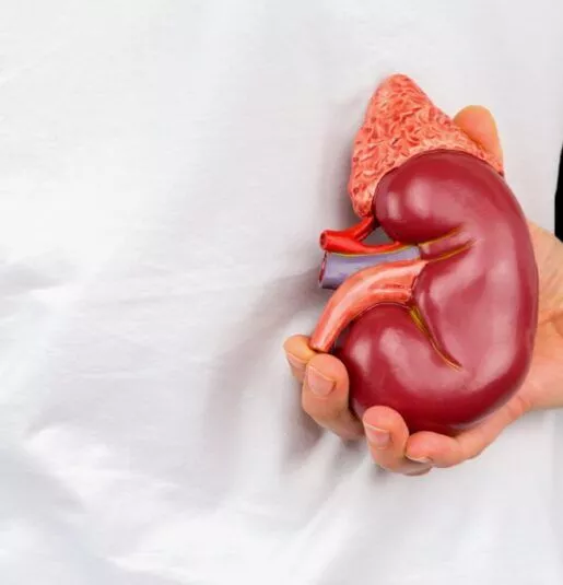 腎衰竭的原因有哪些？