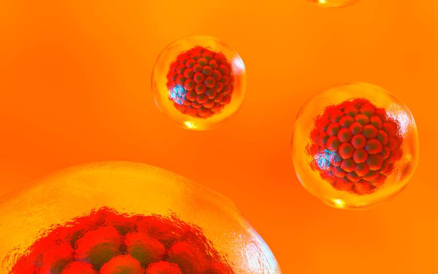 干細(xì)胞療法治療腦癱