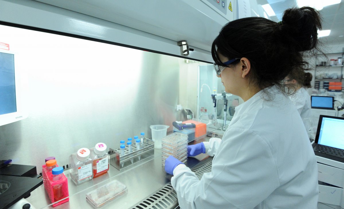 一位科學(xué)家正在研究誘導(dǎo)多能干細(xì)胞。圖片來源：Genome Research Limited