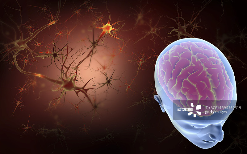 干細胞療法與神經系統疾病的概述（2023）