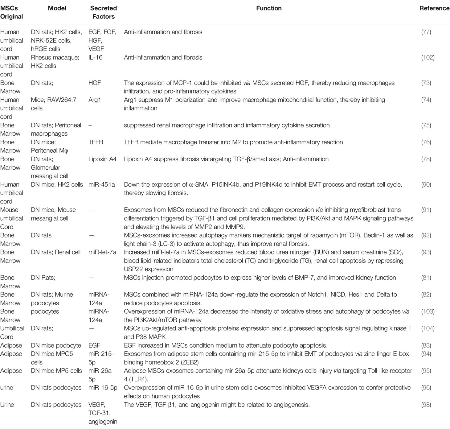 表1間充質干細胞分泌因子在糖尿病腎病中的詳細作用