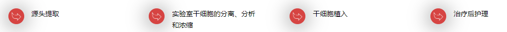 干細胞移植整個醫療程序包括4個步驟：