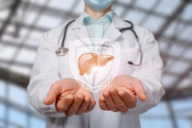 間充質(zhì)干細(xì)胞治療肝病：現(xiàn)狀與展望