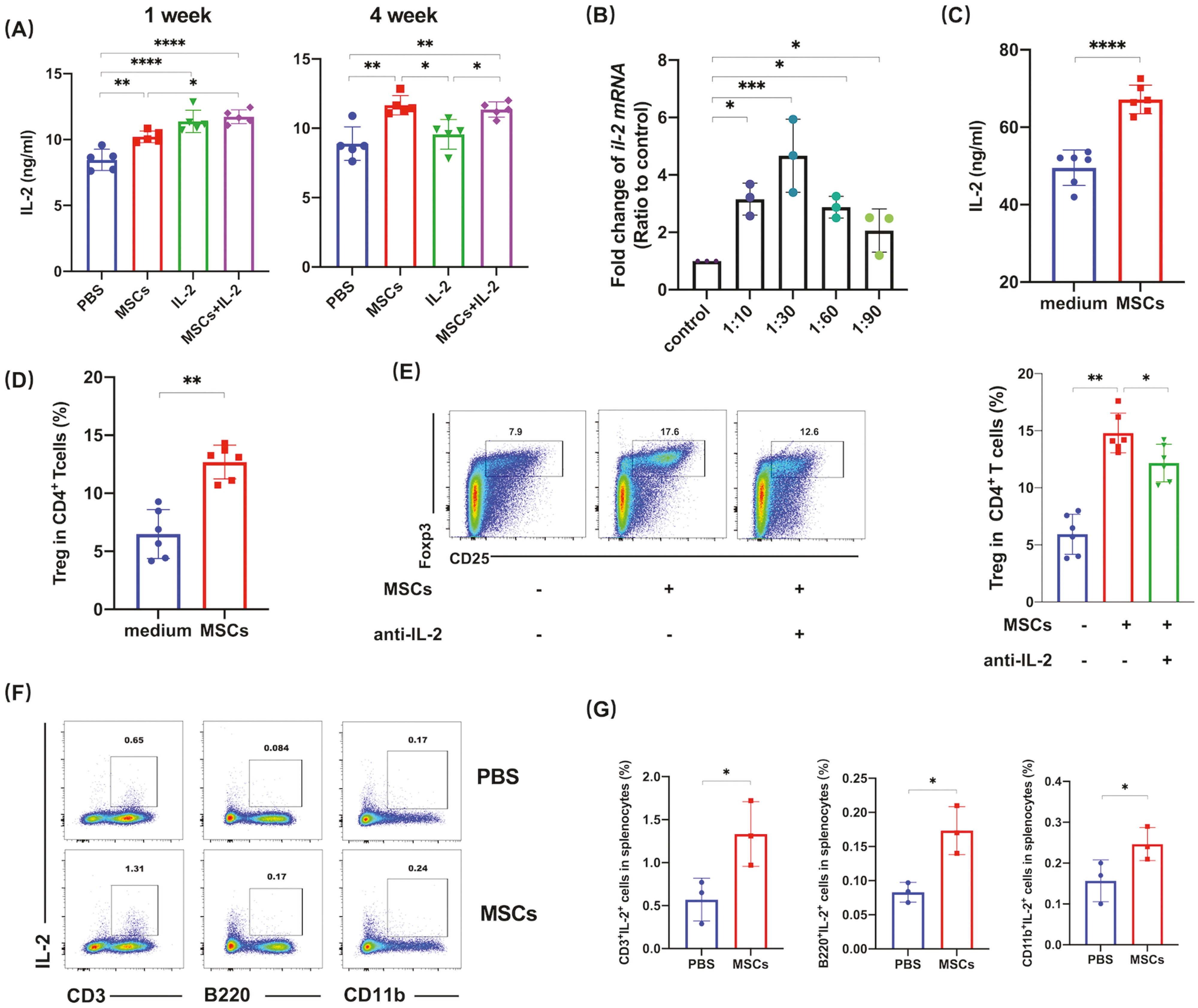 圖5：IL-2參與MSC誘導的Tregs