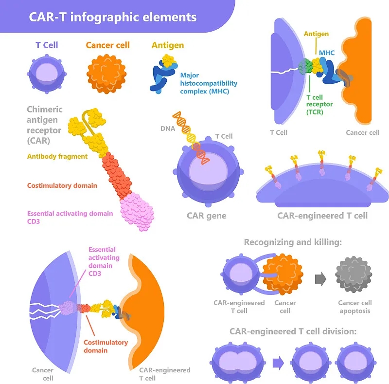 CAR-T細胞公司激增：全球CAR-T公司名單