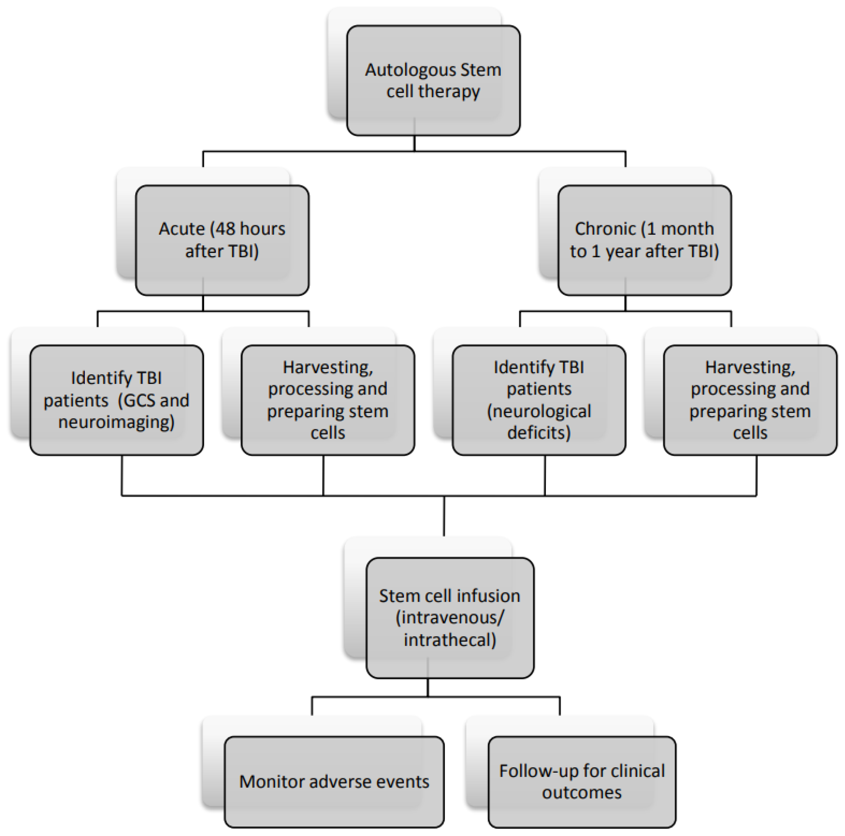 圖3：間充質(zhì)干細(xì)胞治療腦損傷患者的流程圖。
