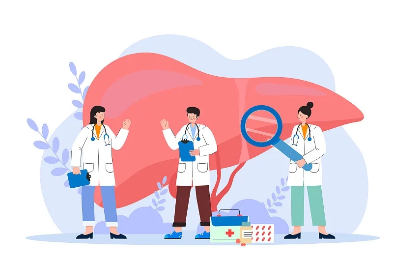 間充質干細胞治療肝病的新視角：恢復線粒體功能