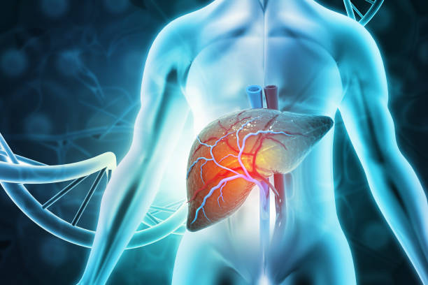 干細胞治療肝病的臨床前景與研究現(xiàn)狀的綜述