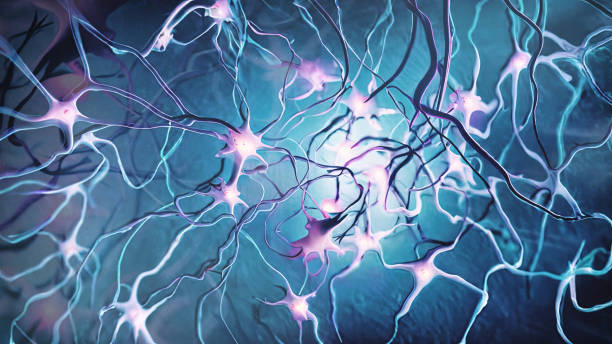 神經干細胞常見問題解答