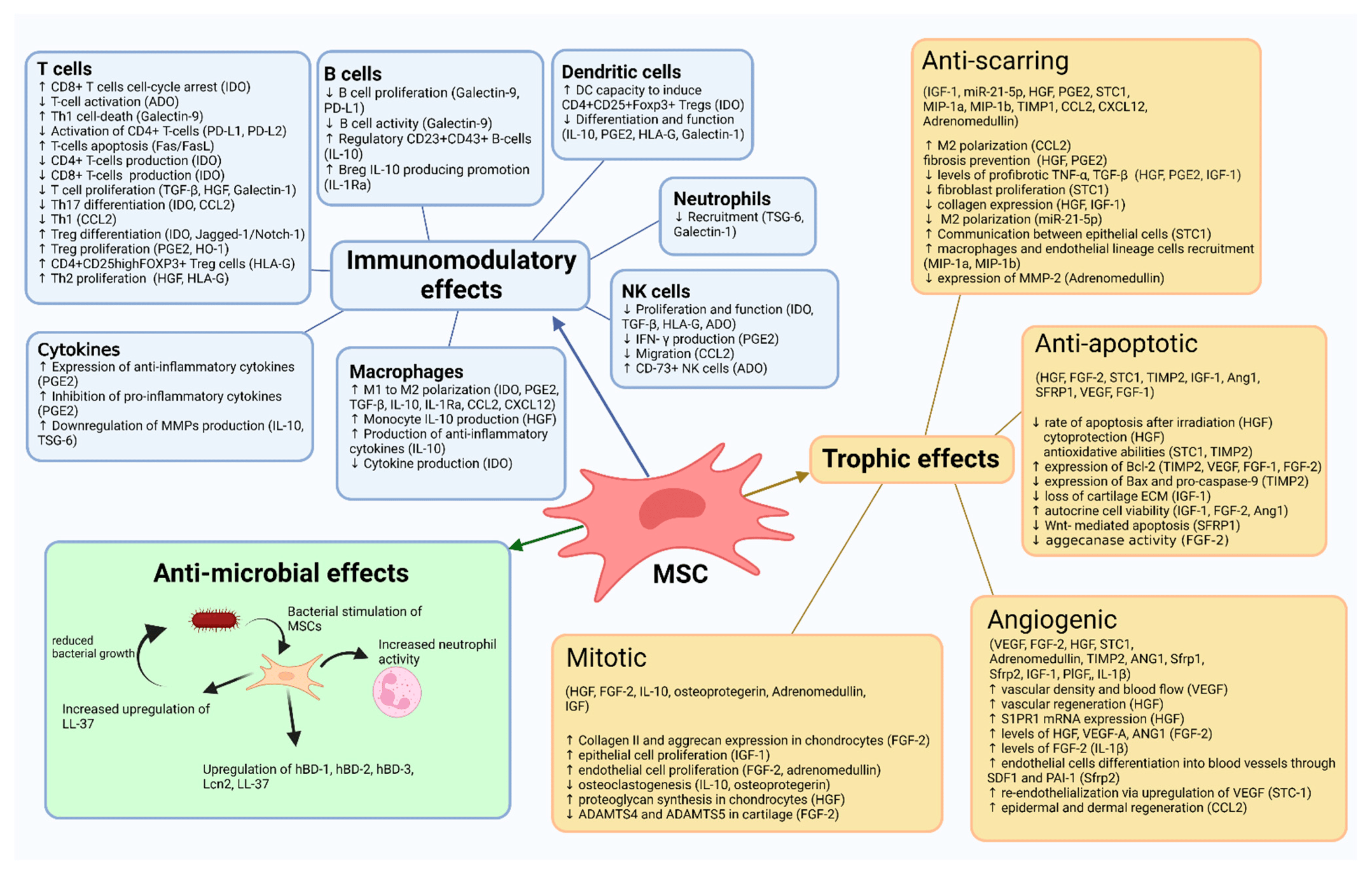 間充質(zhì)干細(xì)胞作用機(jī)制總結(jié) 間充質(zhì)干細(xì)胞作用機(jī)制總結(jié)