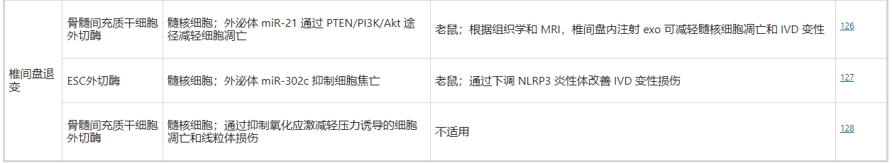 干細(xì)胞外泌體治療椎間盤退變