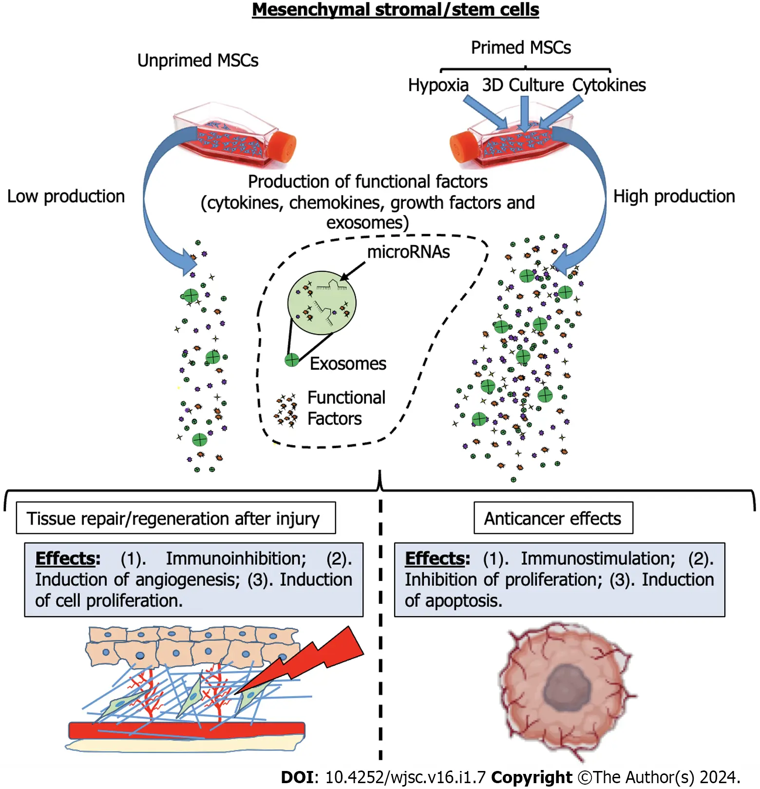 圖1：間充質基質/干細胞啟動后增強的治療效果的示意圖