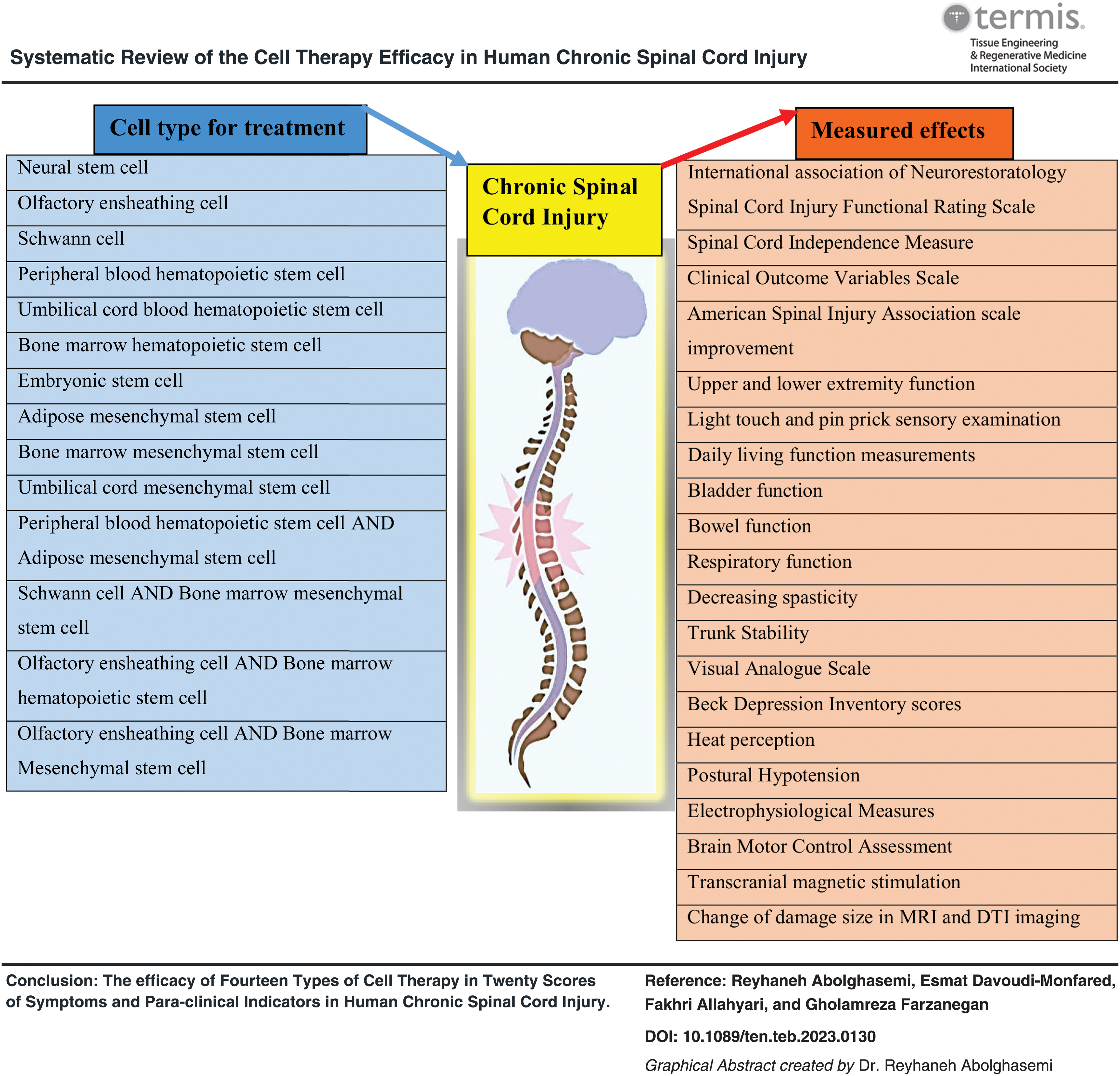 干細(xì)胞療法對(duì)人類慢性脊髓損傷療效的系統(tǒng)性綜述