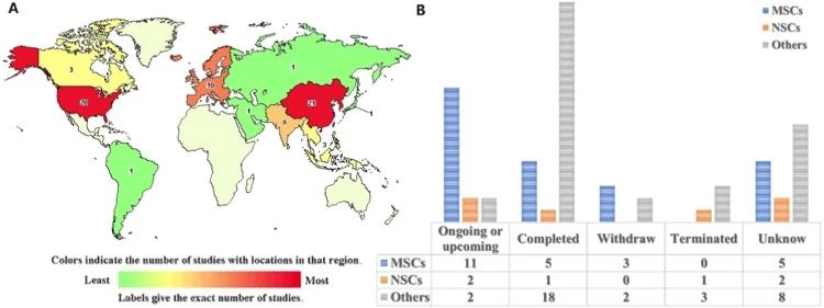 干細(xì)胞治療現(xiàn)狀