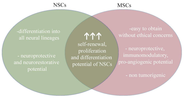 圖4：將神經干細胞和間充質干細胞的治療益處相結合，為治療提供了新的視角。