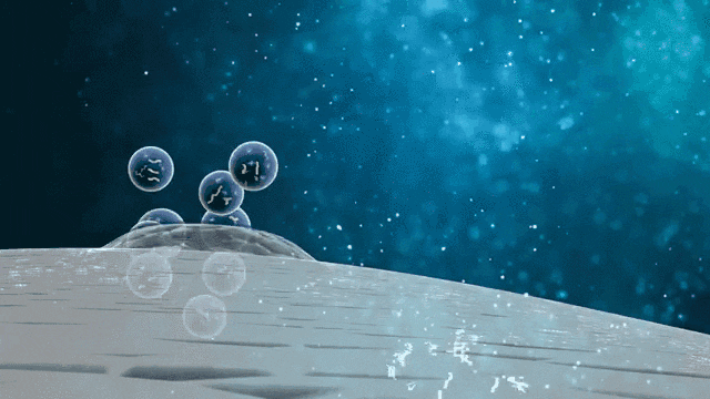 △MSCs可以通過與細胞間的相互作用，及旁分泌生物活性因子來完成機體的免疫調節