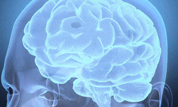 促進神經(jīng)再生