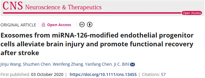 miRNA-126修飾內(nèi)皮祖細胞的外泌體可減輕腦損傷并促進中風后功能恢復