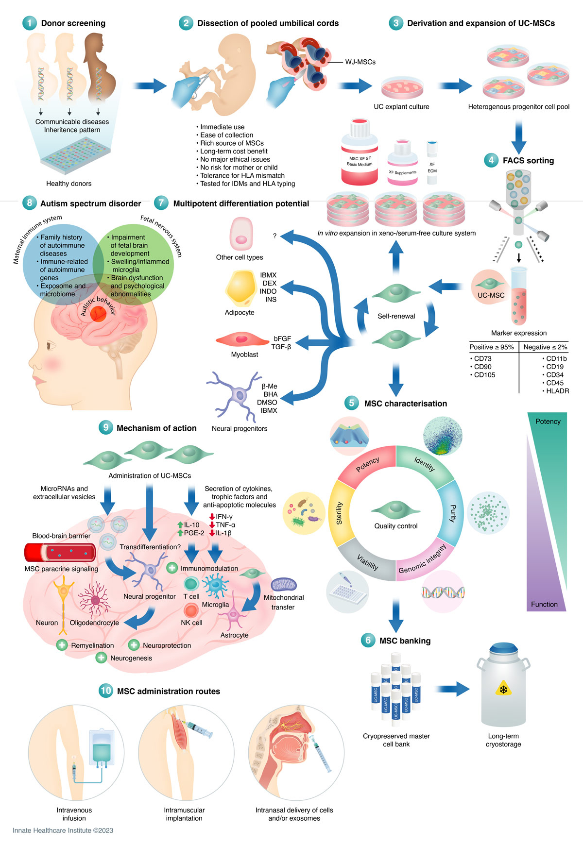 干細胞采集過程是什么樣的？干細胞如何移植治療自閉癥？