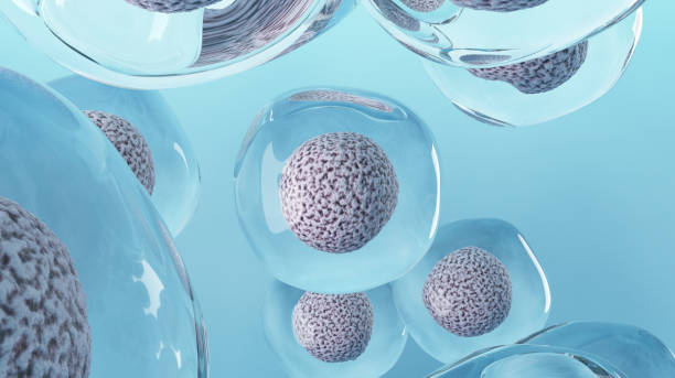 羊膜干細胞療法有效嗎？