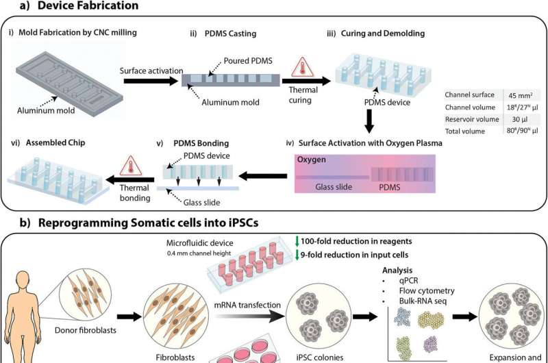 新設(shè)備改善了干細胞的生成，為阿爾茨海默氏癥細胞療法提供了機會