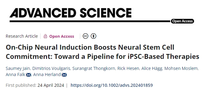 片上神經(jīng)誘導增強了神經(jīng)干細胞的承諾：邁向基于iPSC的療法的管道