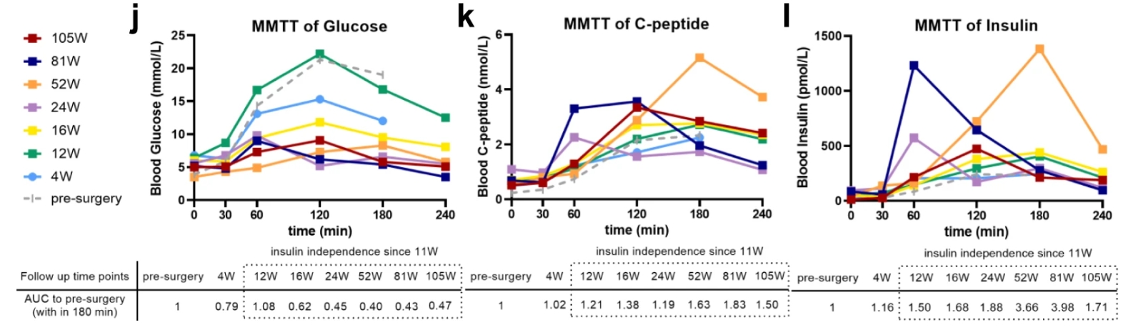 來(lái)自 MMTT 測(cè)定的血清空腹和進(jìn)餐刺激的循環(huán)葡萄糖、C 肽和胰島素水平