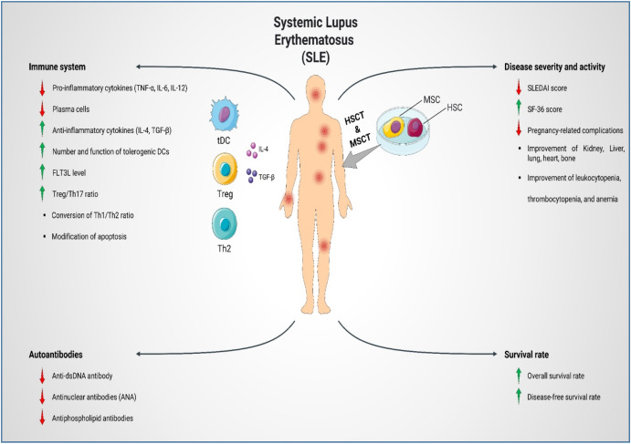 圖1：SLE患者的疾病發(fā)病機(jī)制、嚴(yán)重程度和活動性。