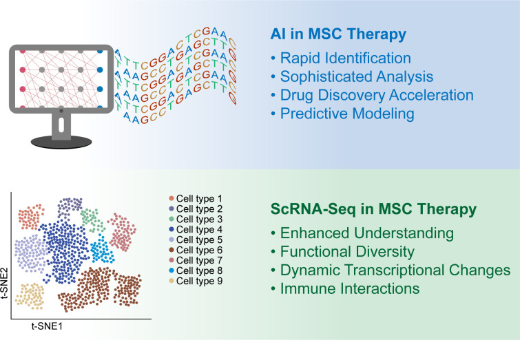 圖1：人工智能 (AI) 和單細(xì)胞RNA測(cè)序 (scRNA-seq) 用于增強(qiáng)間充質(zhì)干細(xì)胞 (MSC) 的臨床應(yīng)用。