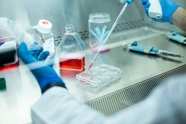 什么是再生醫學技術：如何開啟治療和康復的未來