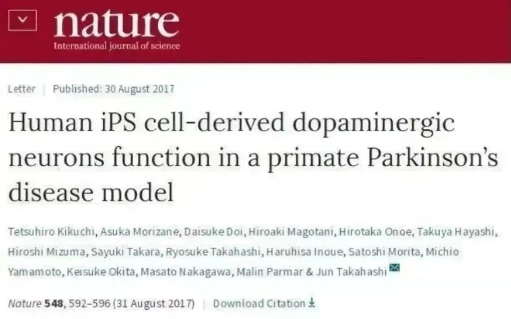 人類 iPS 細胞衍生的多巴胺能神經元在靈長類帕金森病模型中發揮作用