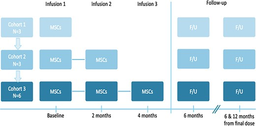 本研究是一項I期開放標簽劑量遞增試驗，研究對象為患有ASD的幼兒，靜脈輸注一次、兩次或三次hCT-MSC
