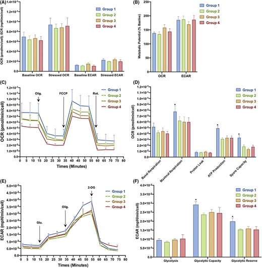 圖3：從對(duì)照組和2型糖尿病 (T2DM) 患者中分離的骨髓間充質(zhì)干細(xì)胞 (BM-MSC) 的代謝概況。