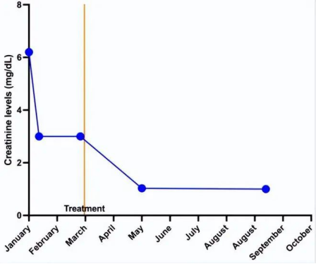 在6個月隨訪時，患者顯示血壓讀數正常(120/80 mmHg)。