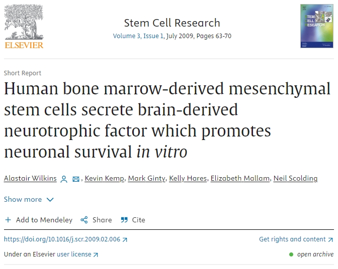 人類骨髓間充質干細胞分泌腦源性神經營養因子，促進體外神經元存活