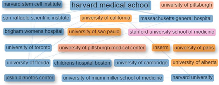 圖4：干細胞治療1型糖尿病研究的主要機構的合作網絡。