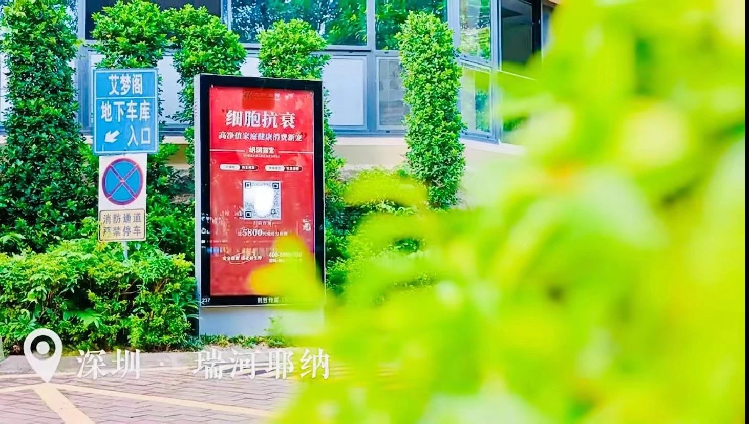 深圳的細胞治療和健康管理產業必將迎來更加輝煌的未來