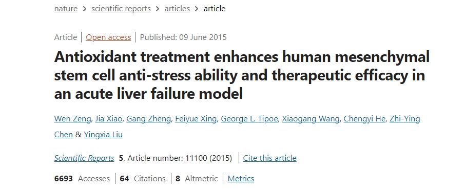 抗氧化治療增強(qiáng)人類間充質(zhì)干細(xì)胞在急性肝衰竭模型中的抗應(yīng)激能力和治療效果