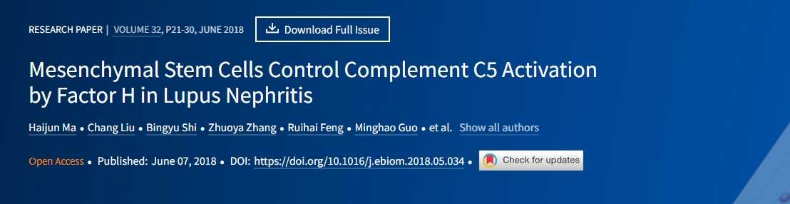 間充質(zhì)干細胞通過狼瘡性腎炎中的因子H控制補體C5的激活
