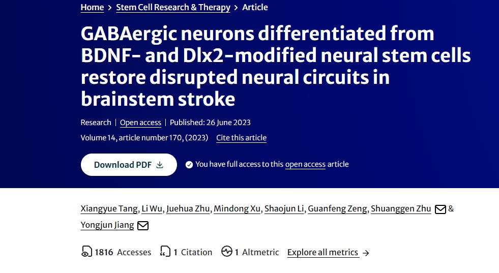 由BDNF和Dlx2修飾的神經干細胞分化而來的GABA能神經元可修復腦干中風時受損的神經回路