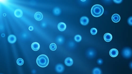 用于研究治療自閉癥的干細(xì)胞有哪些？