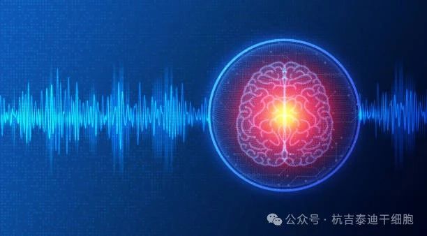 01神經(jīng)系統(tǒng)疾病的簡介與背景